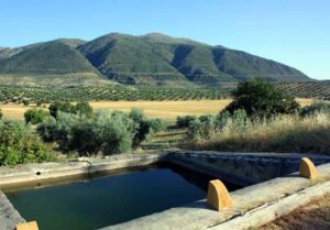 Alberca de Las Alcabalas y pico Tiñosa (1573m) al fondo (B.Montes, julio 2012)