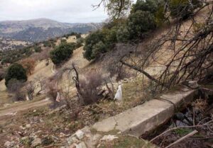 Fuente del Dornajo (B. Montes, marzo 2012)