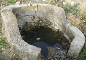Pozo-fuente Clarín (http://conservacionfuentessaucejo.blogspot.com.es, mayo 2010)