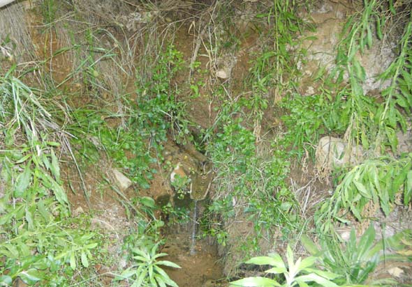 Fuente de la Teja (S. Rodríguez, julio 2012)