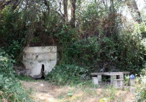 Fuente del Chorrillo (B Montes, julio 2012)