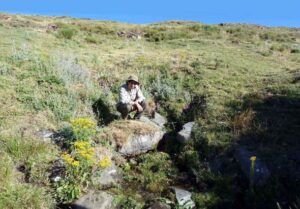 Fuente del Cortijo de Chordi (A. Castillo, julio 2012)