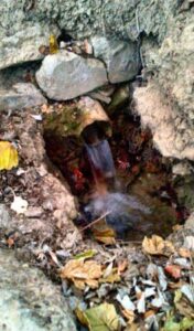Fuente del Caño de Plomo (A. B. Galán Díaz, septiembre 2012)