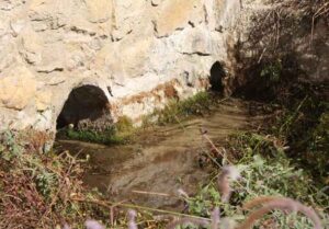 Fuente de los Agujeros (B. Montes, septiembre 2012)