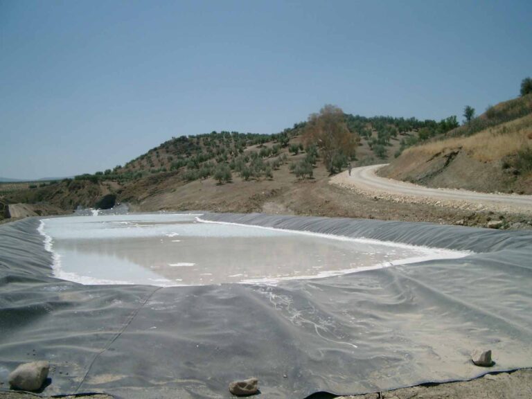 Salinas de San Carlos (L. Linares, julio 2005)