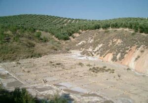 Salinas de Las Escuelas (L. Linares, julio 2005)