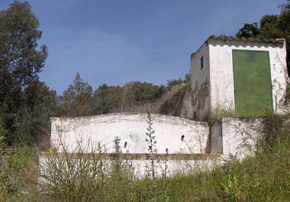 Fuente de Setefilla (J.M. Fernández Palacios , diciembre, 2007)