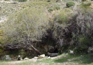 Fuente de las Agüillas (V.M. Robles-Arenas, abril 2008)