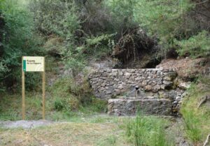 Fuente de la Higuera (V.M. Robles-Arenas, agosto 2010)