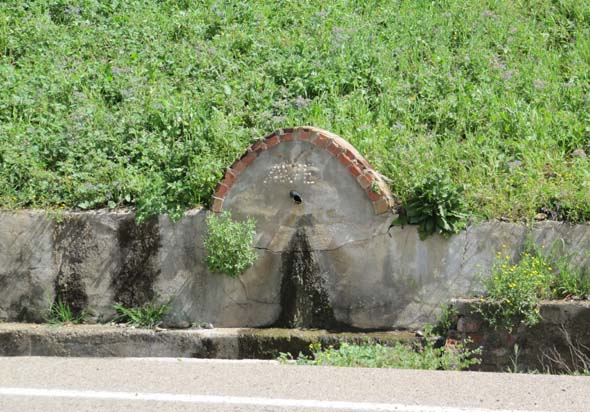 Fuente del Ave (J. M. Fernández-Palacios, marzo 2013)