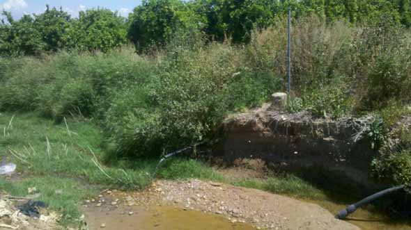 Pilar del Judío, el excedente de agua del registro va a parar, mediante goma, a un arroyo inmediato. La otra goma es la conducción que alimenta a las casas cercanas  (J. M. Fernández-Palacios, mayo 20