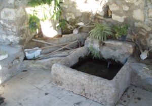 Fuente de Carrascas Viejas (M. Almonacid, mayo 2013)