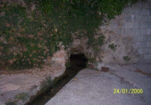 Fuente de Carrañacas (D. Rojas Hita, agosto 2010)