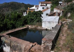 Manantial de Daire (S. Reyes, junio 2013)