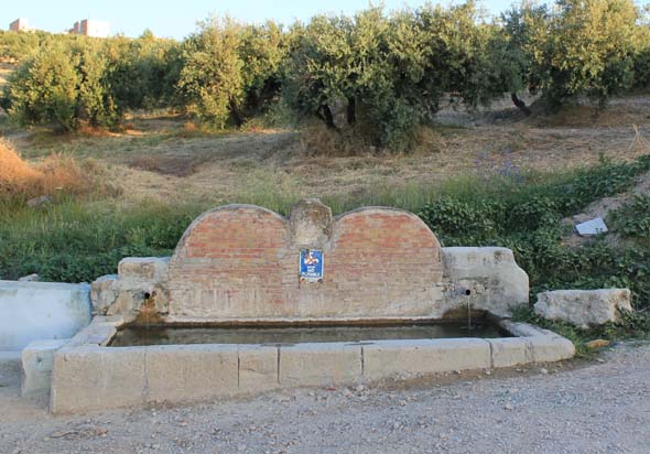 Fuente de Don Sancho (J. A. Palomino, junio 2013)