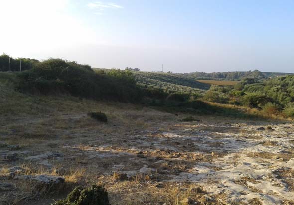 La fuente se localiza en medio del zarzal. En primer plano, afloramiento en costra de calizas miocenas. Al fondo, vega del Guadalvacar y terrazas del Guadalquivir (J. M. Fernández-Palacios, septiembre