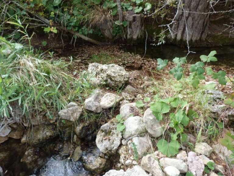 Surgencia del Arroyo del Cerezo (L. Cano Cavanillas, octubre 2013)