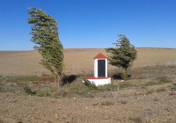El Pozo de Varguillas entre dos chopos.(J. M. Fernández-Palacios, noviermbre 2013)