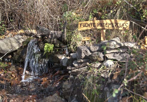 Fuente de Matemarques (J. Rubia González, enero 2014)