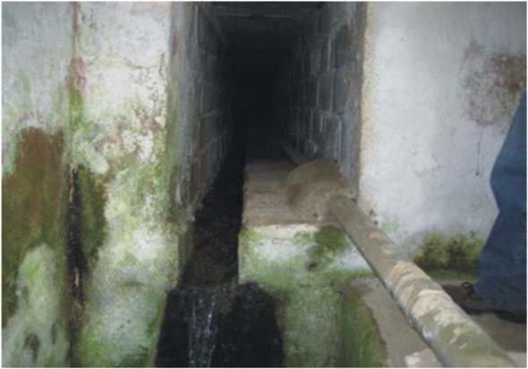 Fuente Justo (IGME Granada, 2005)