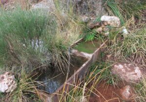 Fuente de la Mata (T. Peinado Parra, diciembre 2014)