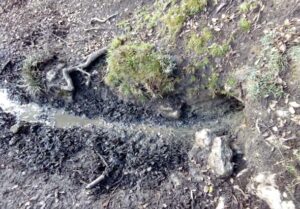 Fuente de Cañada Espinosa Alta (V. M. Robles Arenas, diciembre 2014)