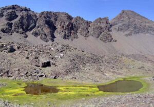 Lagunillo de Valdeinfierno (A. Castillo, julio 2006)