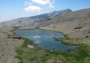 Laguna de Juntillas (A. Castillo, junio 2005)