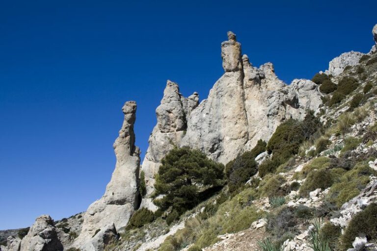 Entorno Fuente de los Frailes (F. Serrano Garcia, abril 2008)