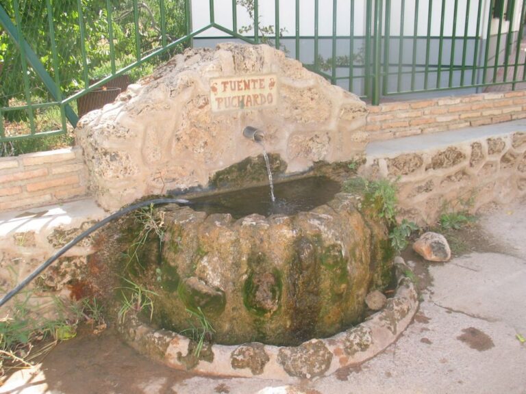 Fuente Puchardo (L. Cano Cavanillas, agosto 2005)