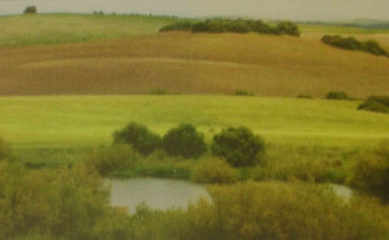 Consejería de Medio Ambiente, Junta de Andalucía (Primavera, 2003)