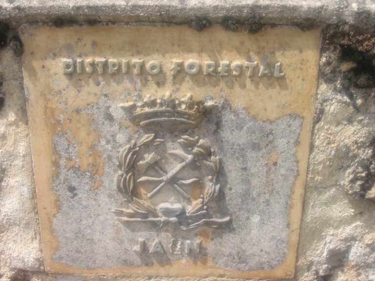 Escudo del Patrimonio Forestal, colocado en la restauración de la Fuente (F. Serrano García. abril 2005)