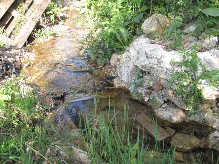 Fuente de la Huerta El Juncal (D. Moreno Gordillo, abril 2010)