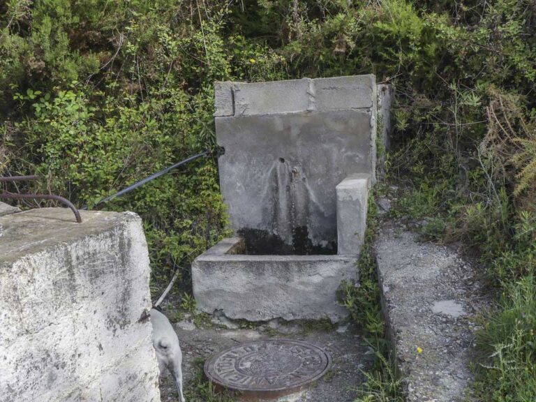 Fuente del Espartal (J. Rubia, abril 2021)