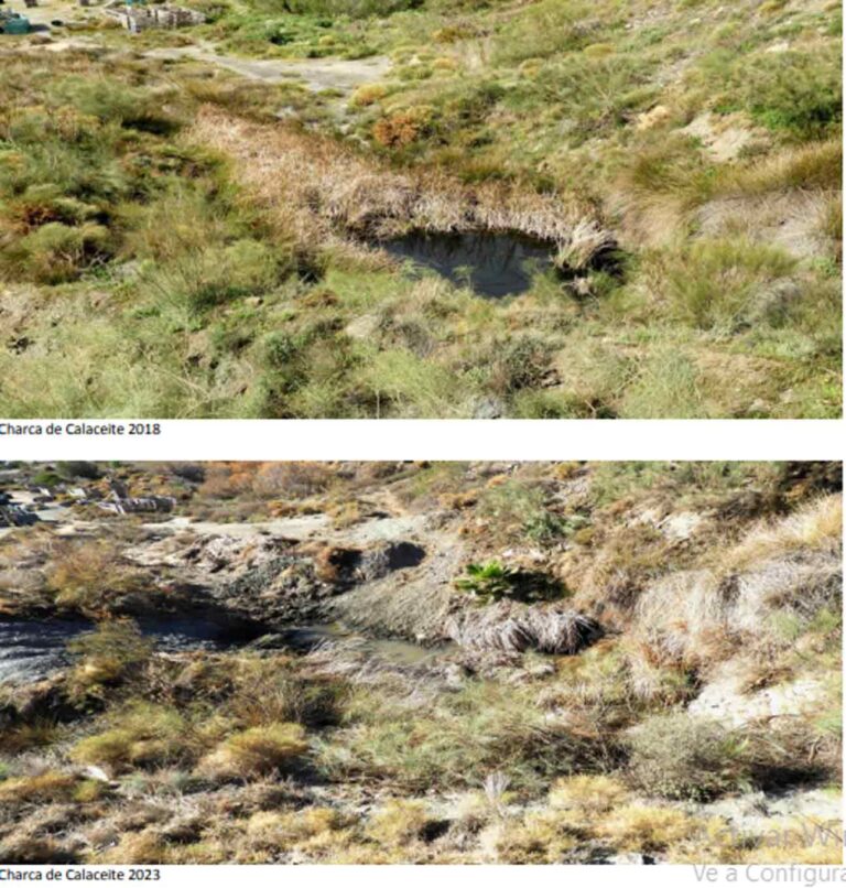 Charca de Calaceite (Asociación Medioambiental Capitán Planeta, febero 2024)